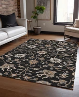 Addison Chantille Machine Washable ACN1137 10'x14' Area Rug