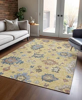Addison Chantille Machine Washable ACN1218 5'x7'6" Area Rug