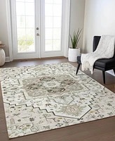Addison Chantille Machine Washable ACN1036 10'x14' Area Rug