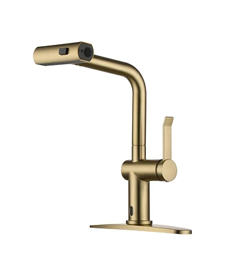 Mondawe Single Handle Pull Down Sprayer Kitchen Faucet with 3 Functions Spray