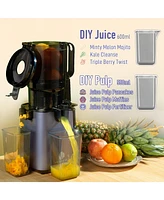 Cold Press Juicer, Masticating Juicer with 5.1 Inch Large Feed Chute, 250W Power High Juice Yield for Batch Juicing - Purple