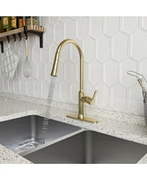 Casainc 1.8 Gpm Single-Handle Pull-Down Kitchen Faucet Single Hole