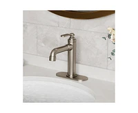 Casainc Single Hole Faucet Single-handle Bathroom Faucet with Drain Assembly