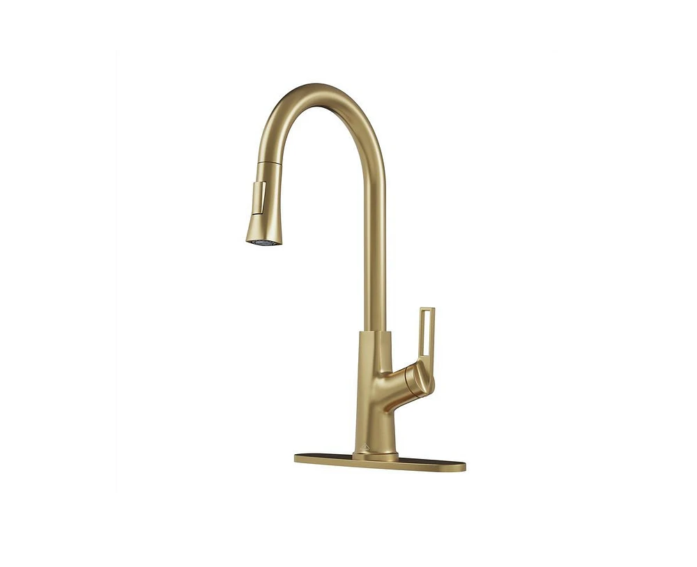 Casainc Single-Handle Pull-Down Kitchen Faucet Single Hole with Deck Plate