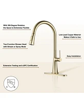 Casainc Pull Down Kitchen Faucet with Deck Plate