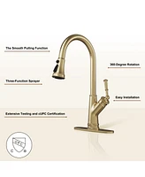 Casainc 1.8 Gpm Single-Handle Pull-Down Kitchen Faucet Single Hole