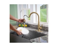 Casainc Single-Handle Pull-Down Kitchen Faucet Single Hole