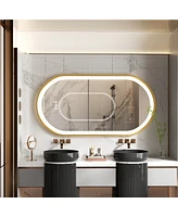 Wisfor Modern Led Oval Bathroom Mirror Wall Vanity Mirror Anti-Fog 23"x 47"