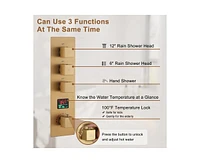 Casainc Digital Display Single Handle 1-Spray Thermostatic Dual Shower Faucet
