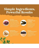 Nature's Craft Irish Sea Moss Capsules, Superfood Blend for Immune Support Heart Health Fertility Joint Health and Thyroid Support, Nature's Craft