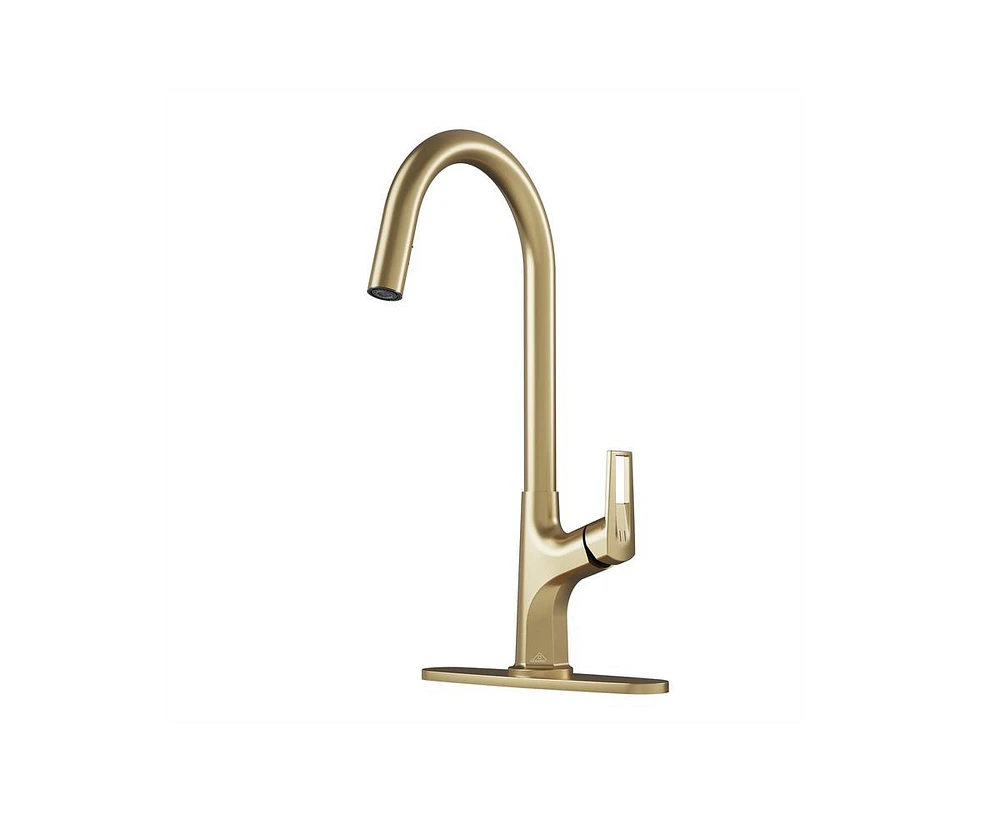 Casainc Single-Handle Pull-Down Kitchen Faucet Single Hole Faucet with Deck Plate