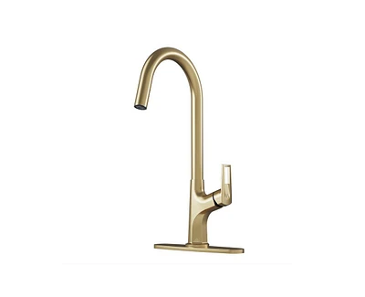 Casainc Single-Handle Pull-Down Kitchen Faucet Single Hole with Deck Plate