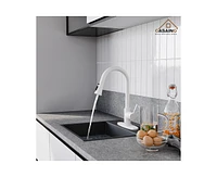 Casainc Pull Down Sprayer Kitchen Faucet with Dual-Function Sprayer and Deck Plate in Spot-Free