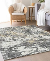 Addison Chantille ACN769 10'x14' Area Rug