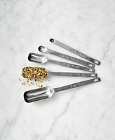 King Arthur Baking Company Stainless Steel 9-Piece Measuring Spoon Set