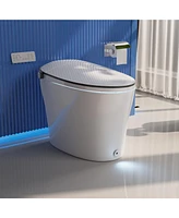 DeerValley Smart Bidet Toilet Quiet-Closed Heated Seat Sensor Auto, Foot Kick & Blackout Flush, Advanced