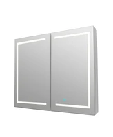 DeerValley 48'' W x 32'' H Led Lights Wall Mounted Medicine Cabinets With Mirrors And 2 Adjustable Shelves