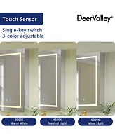 DeerValley 24'' W x 36'' H Led Lighted Wall Mounted Medicine Cabinets with Mirror and 2 Adjustable Shelves