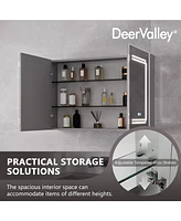 DeerValley Medicine Cabinets For Bathroom With Mirror, Wall Mounted Led Medicine Cabinet Organizer With Defogger, Dimmer, Bluetooth Speaker, Double Do