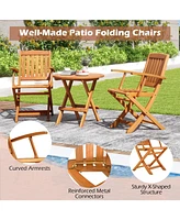 Gouun Patio Wood Folding Chair Set of 2 with Armrests and Slatted Seat