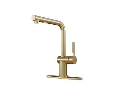 Casainc Single-Handle Pull Out Kitchen Single Hole Faucet with Deck Plate