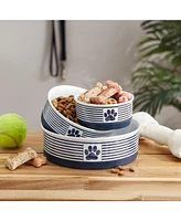 Bone Dry Paw Patch Stripe Single Pet Bowl