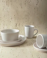 Stone Lain Albie 16 Pc. Dinnerware Set, Service for 4