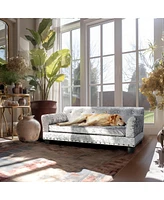 Bingopaw Pet Dog Couch Bed Deluxe Dutch Velvet Upholstered Sofa Bed Removable Cushion