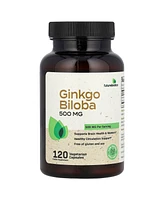 Futurebiotics Ginkgo Biloba 500 mg