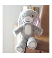 zooby mini