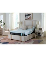 Tempur Pedic Ergo Prosmart 3.0 Adjustable Base Collection