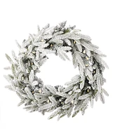 Seasonal 24" Royal Oaks Flocked Fir Wreath, 40 Warm Led Lights