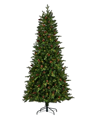 Seasonal 7.5ft Canyon Ranch Fir Tree, 380 Warm Led Lights