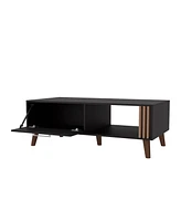 Fm Furniture Govan Coffee Table with a Door, Conical Legs, and Open Storage, Wengue