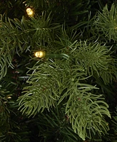 Seasonal 6ft Palmetto Pine Tree, 350 Dual Led Lights