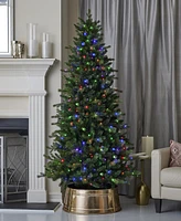 Seasonal 9ft Palmetto Pine Tree, 650 Dual Led Lights