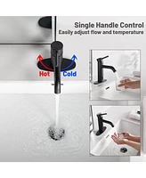 Casainc Single Handle Touchless Sensor Black Bathroom Sink Faucet