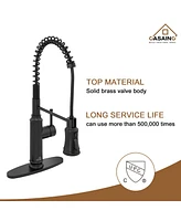 Casainc Pull Down Sprayer Kitchen Faucet with Infrared Sensor Induction Function and Deck Plate