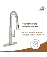 Casainc Spring Neck Standard Kitchen Faucet with Dual-Function spray head and Deck Plate