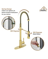 Casainc Spring Pull Down Sprayer Kitchen Faucet with Dual-Function Spray Head and Deck Plate
