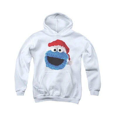 Sesame Street Boys Youth Cookie Monster Christmas Hat Pull Over Hoodie