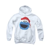 Sesame Street Boys Youth Cookie Monster Christmas Hat Pull Over Hoodie