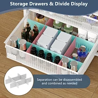 Makeup Organizer with Drawers, Skincare Storage