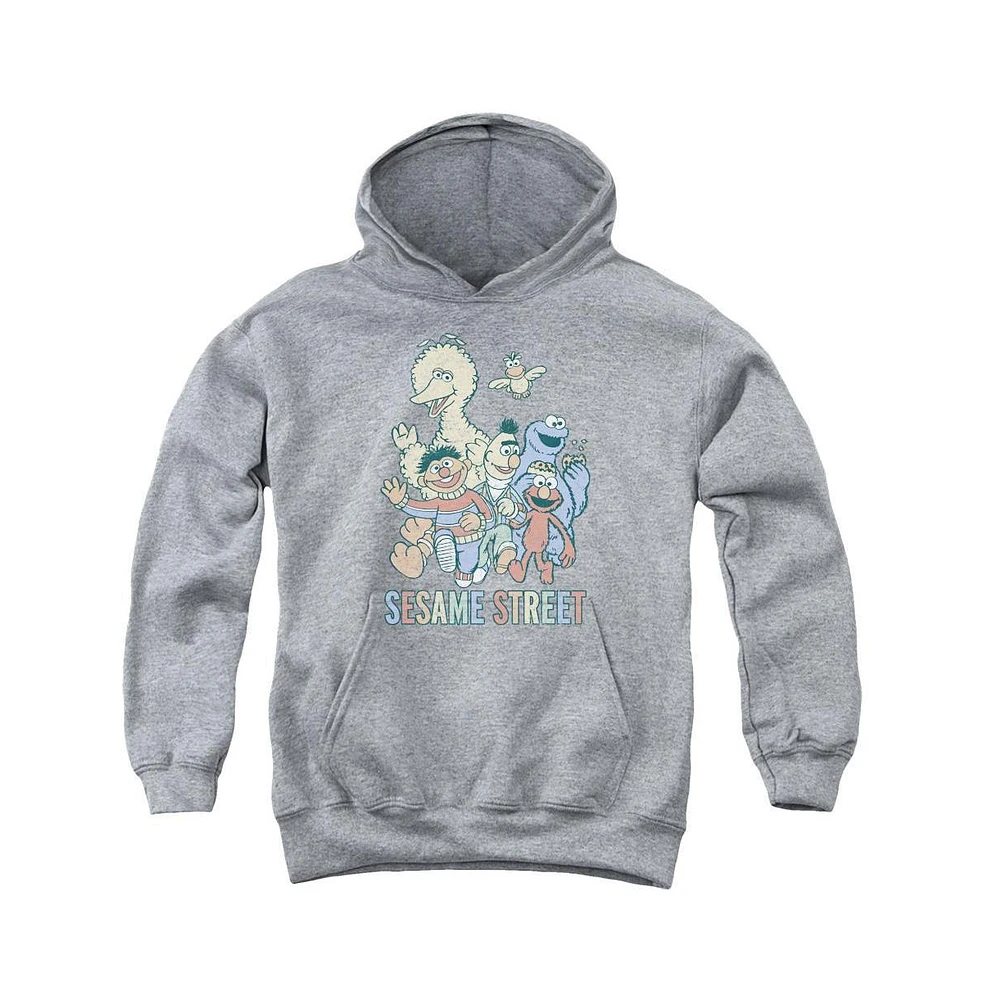 Sesame Street Boys Youth Colorful Group Pull Over Hoodie