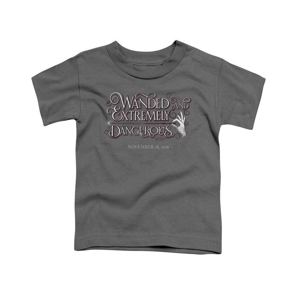 Fantastic Beasts Boys Wanded Short Sleeve Juvenile Tee / T-Shirt