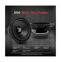 Pyle 6.5" High Performance Mid-Bass Woofer