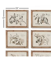 Napa Home & Garden Fruit Bearing Branch Illustrations, Set Of 6