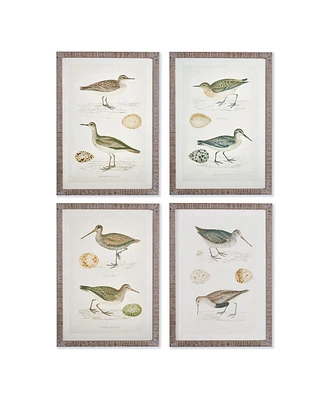 Coastal Birds Study Set of 4