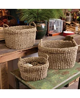 Napa Home & Garden Seagrass Oval Baskets With Handles & Cuffs, Set Of 3