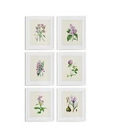 Flower Study Prints, Set Of 6